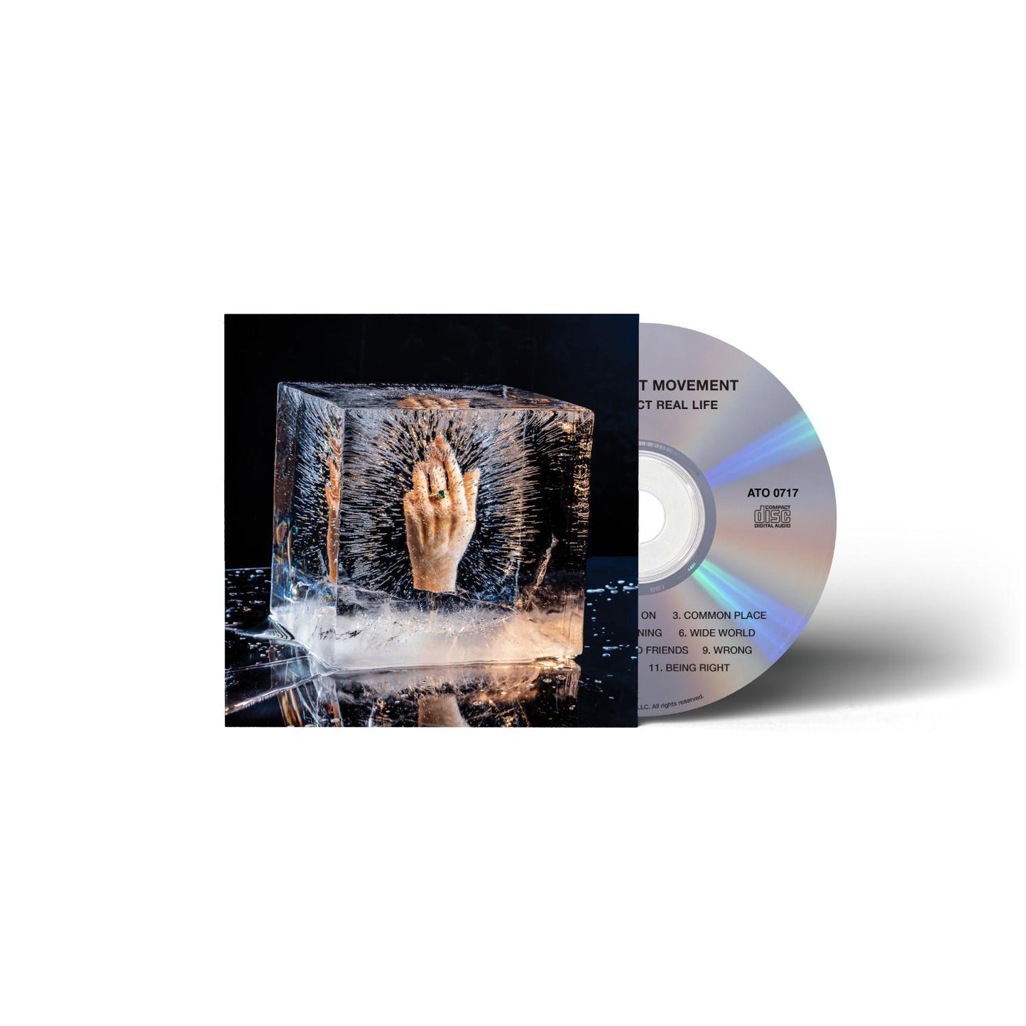 Your Perfect Real Life - CD