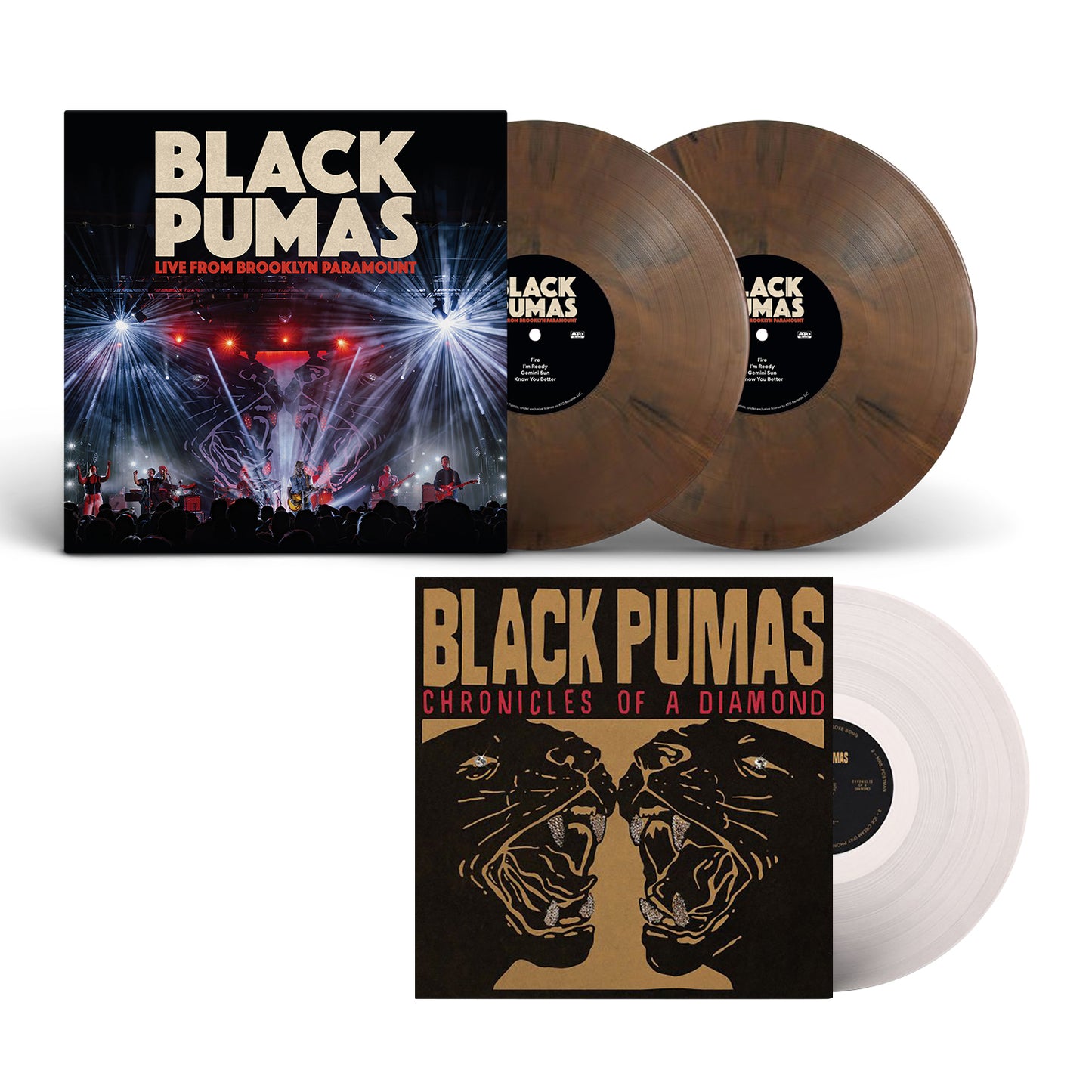 Live From Brooklyn Paramount + Chronicles of a Diamond - Vinyl Bundle