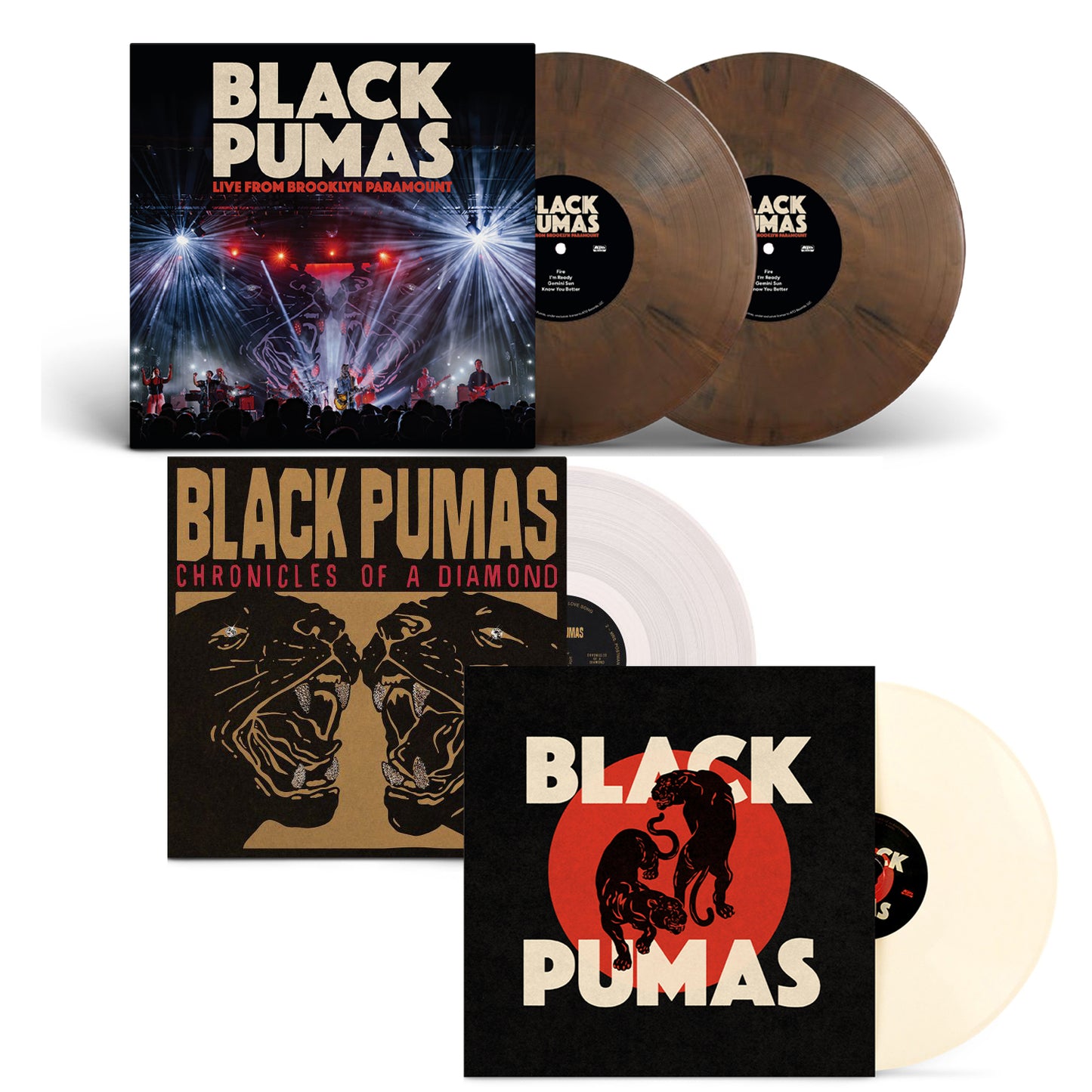 Live From Brooklyn Paramount + Black Pumas + Chronicles of a Diamond - Vinyl Bundle