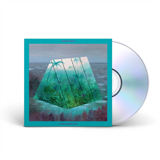 In The Rainbow Rain - CD